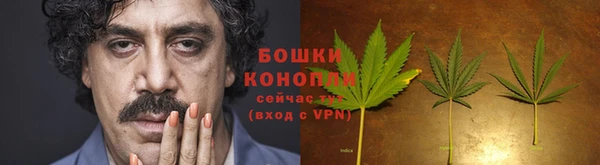 спайс Абаза