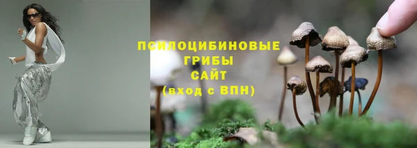 спайс Абаза