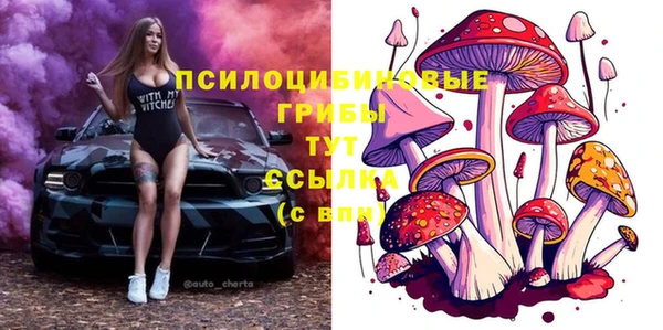 дмт Абдулино