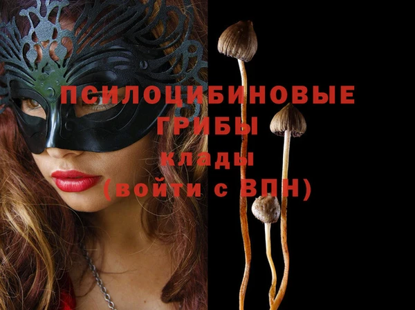 спайс Абаза